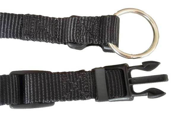 สปอร์ตคอสุนัข Sport Dog Collar