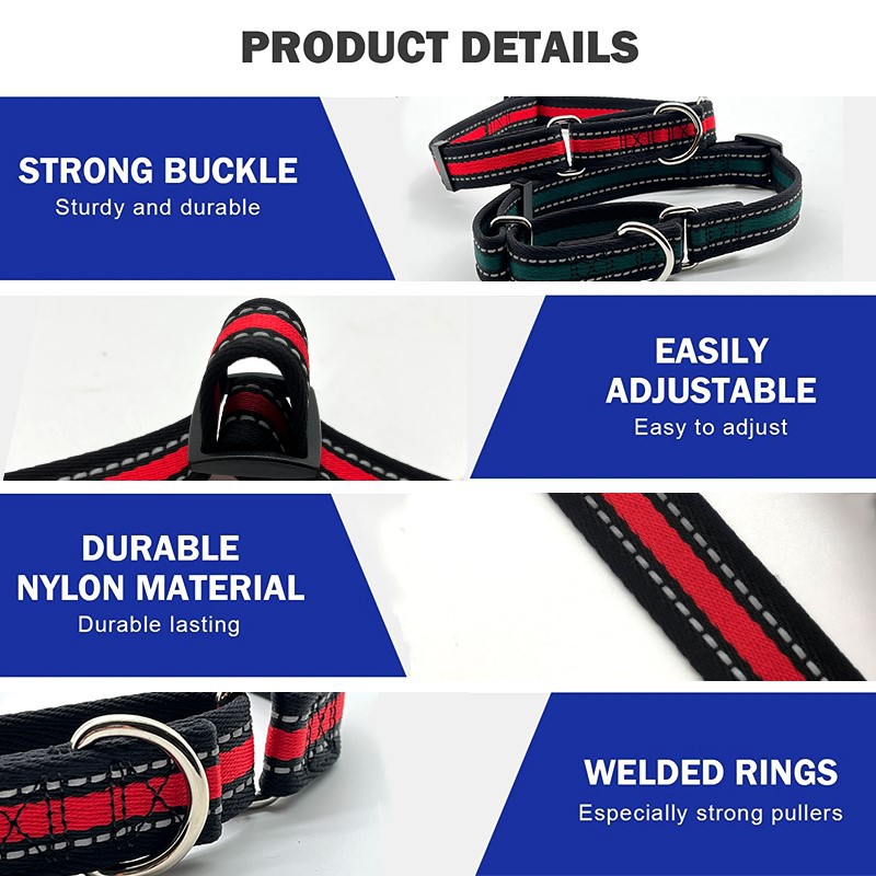 dog collar 11 dog collar 11