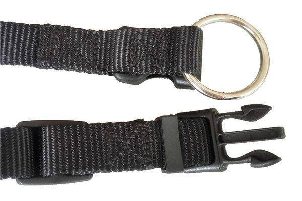 Quick Release Dog Collar