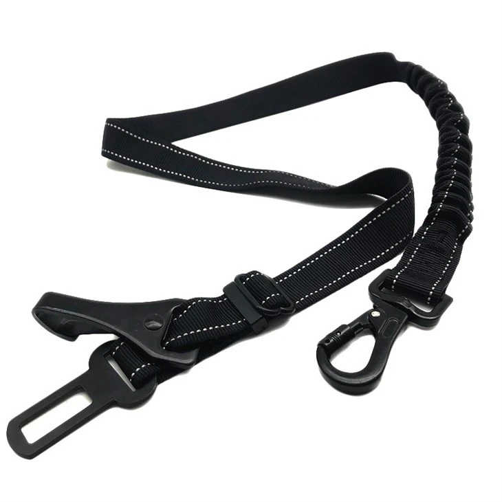 dog leash