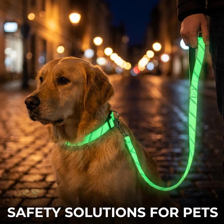 Webbing for dog leash